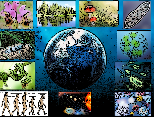 Ciencia Naturales naturaleza