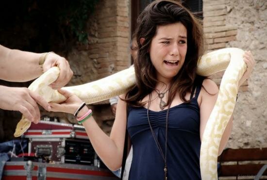 Ofidiofobia reptil