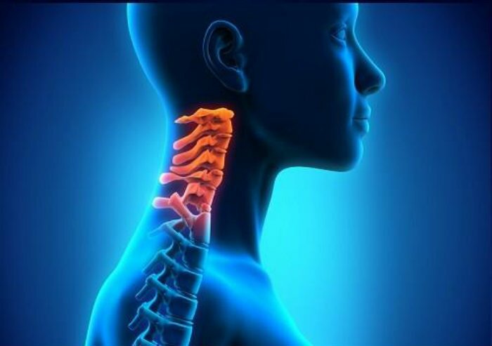 Definición de Vértebras cervicales Vertebras cervicales