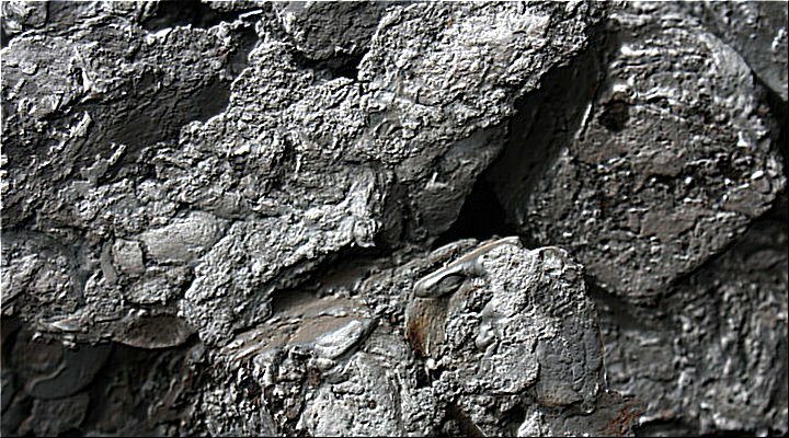 Zinc Zinc