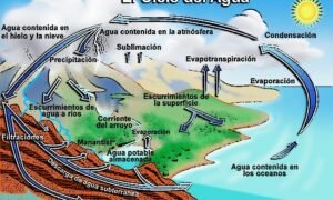 ciclo_del_agua2