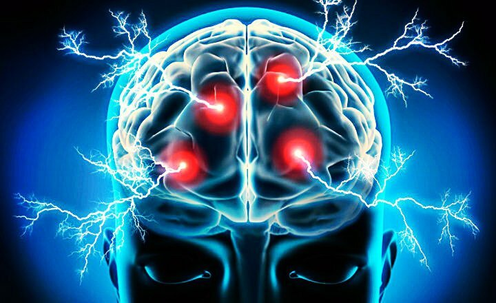 Neurociencia Ciencias Formales