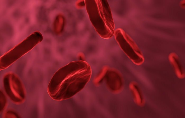 Anemia Biología